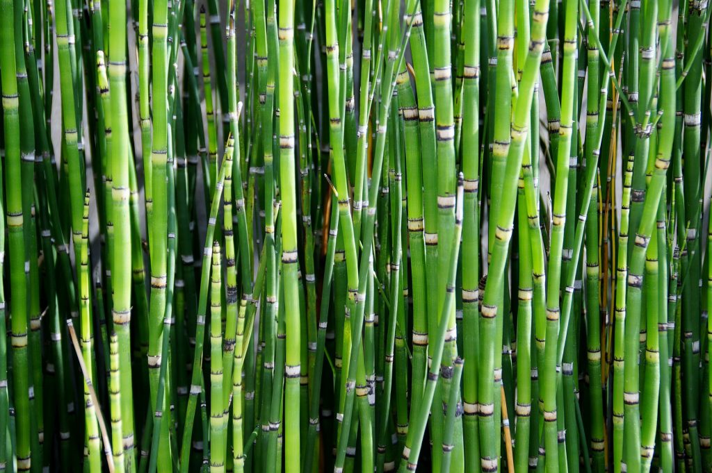 Feng Shui Schlafzimmer - Material Bambus