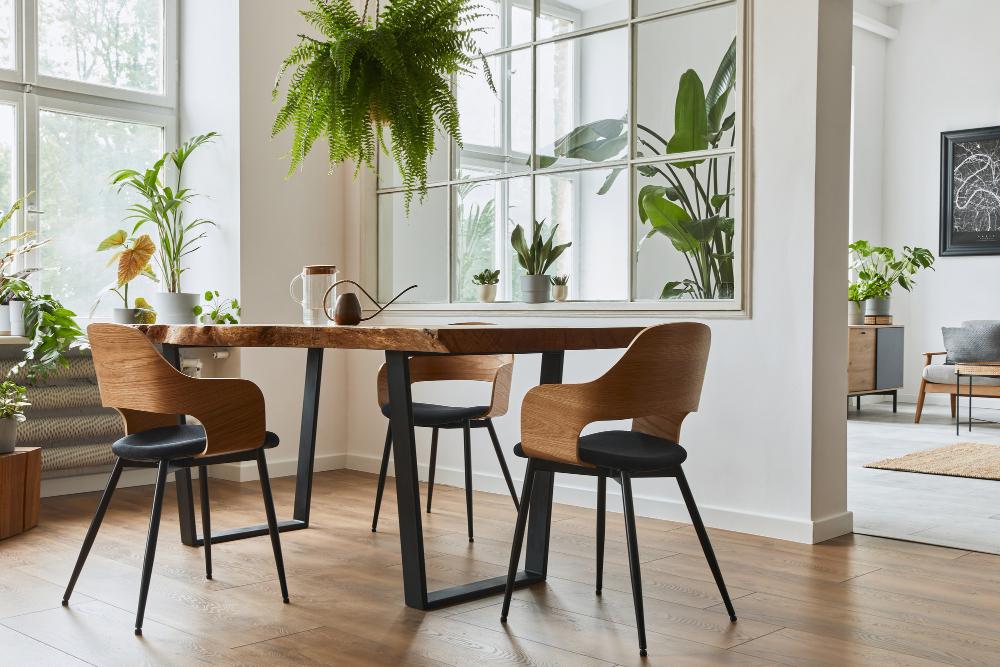 Feng Shui Clearing im Startup Feng Shui Clearing im Startup